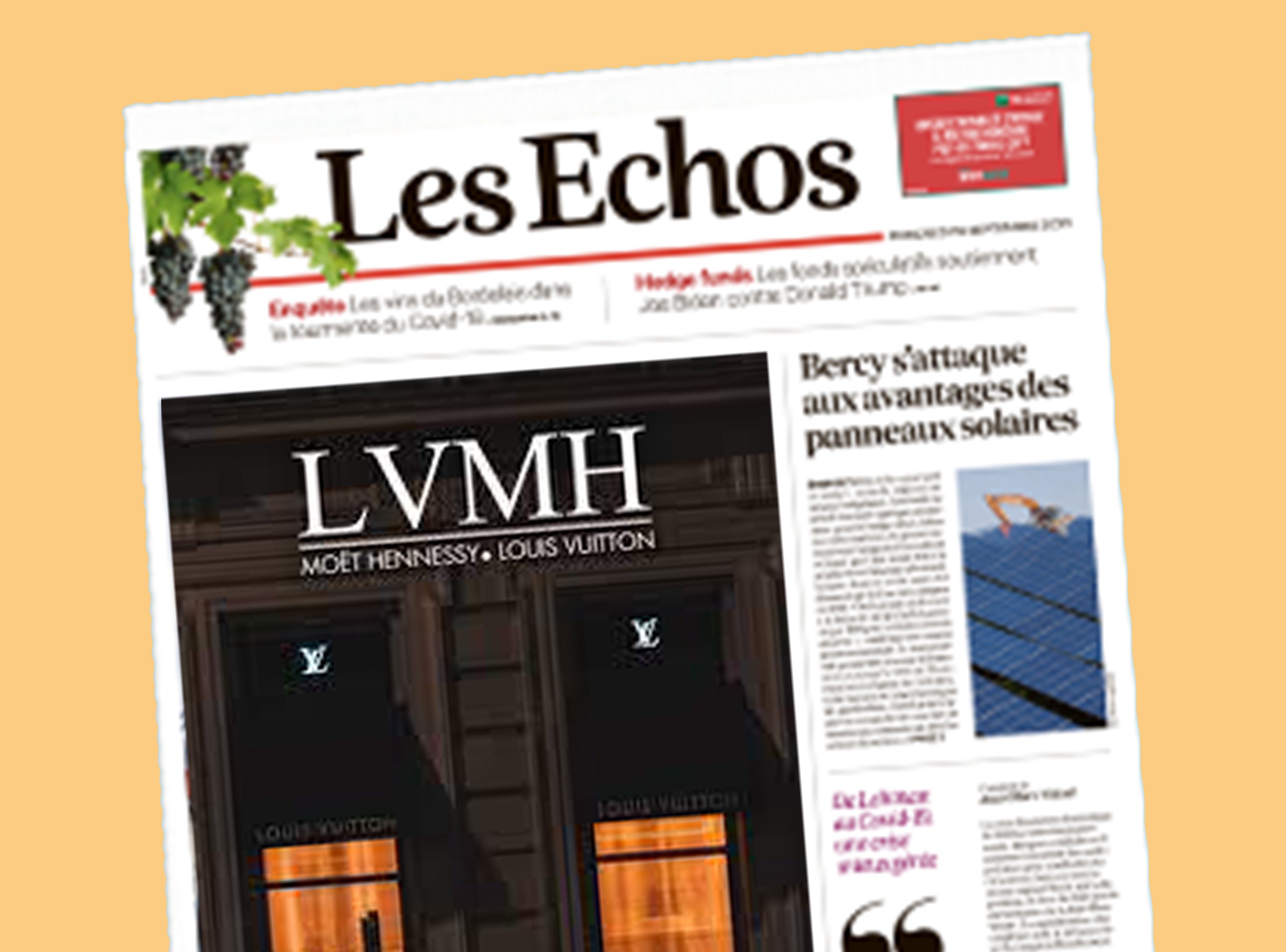 LVMH, Company Highlights