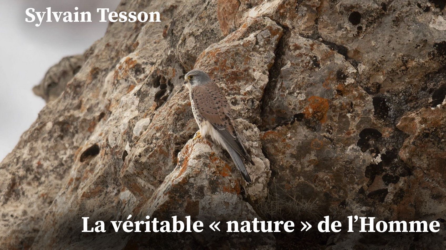 tesson conference