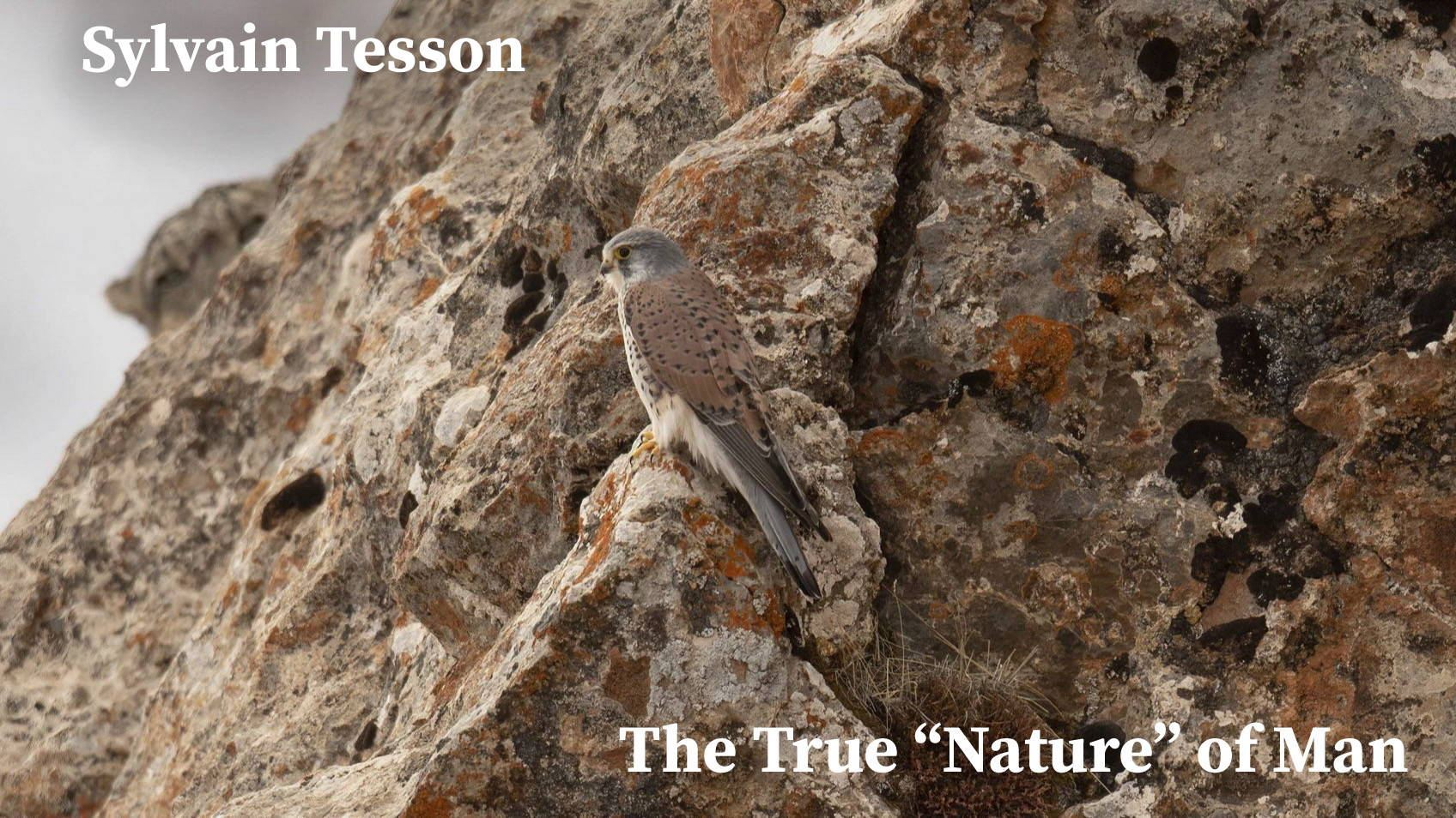 tesson conference first article cover